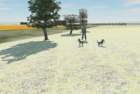 gustafson_dogpark_small.jpg